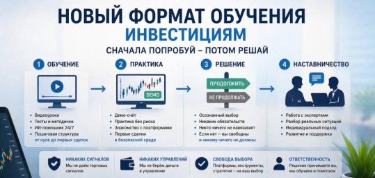 Критика сферы инвестиций что на самом деле не так с обучением