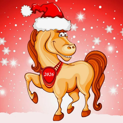 От разочарования к успеху: коуч Рудакова о подготовке к 2026 году